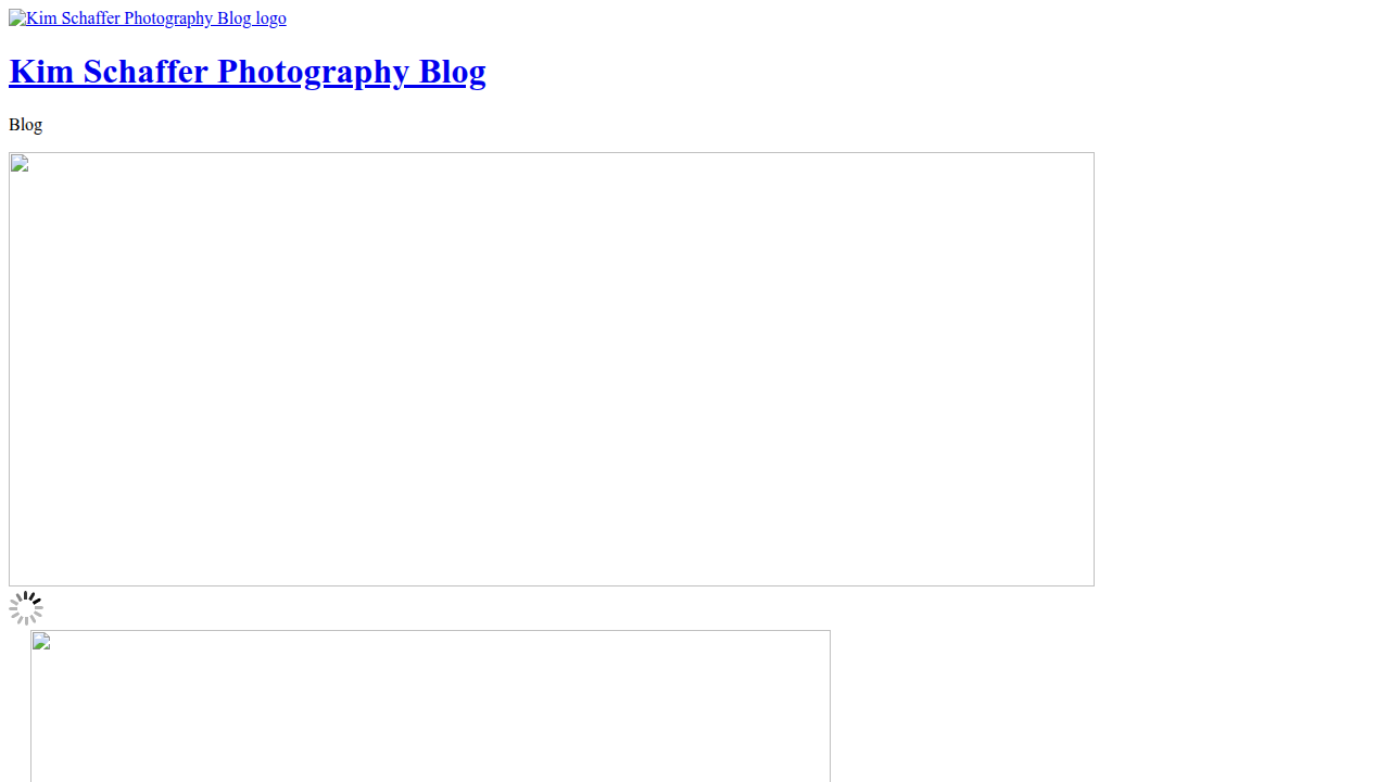 Mindgrasp AI: A leading platform for condensing long reports into digestible summaries.